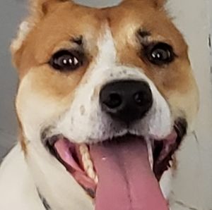 Meet your Posher, Lizabeth